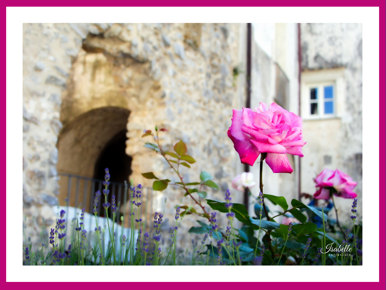 Isabelle Lefrançois Photographe