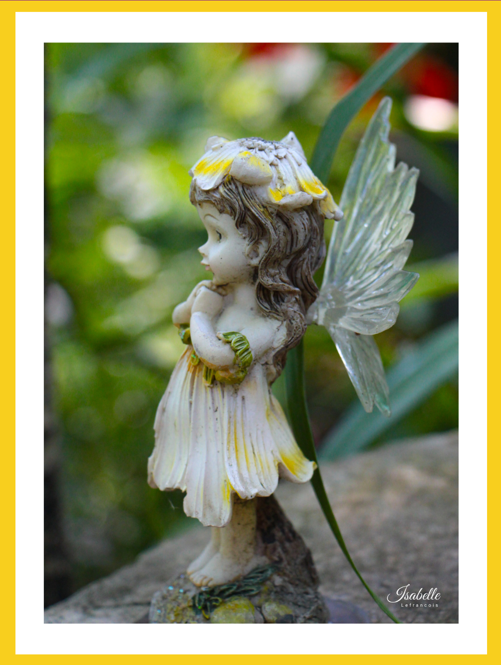 Isabelle Lefrançois Photographe