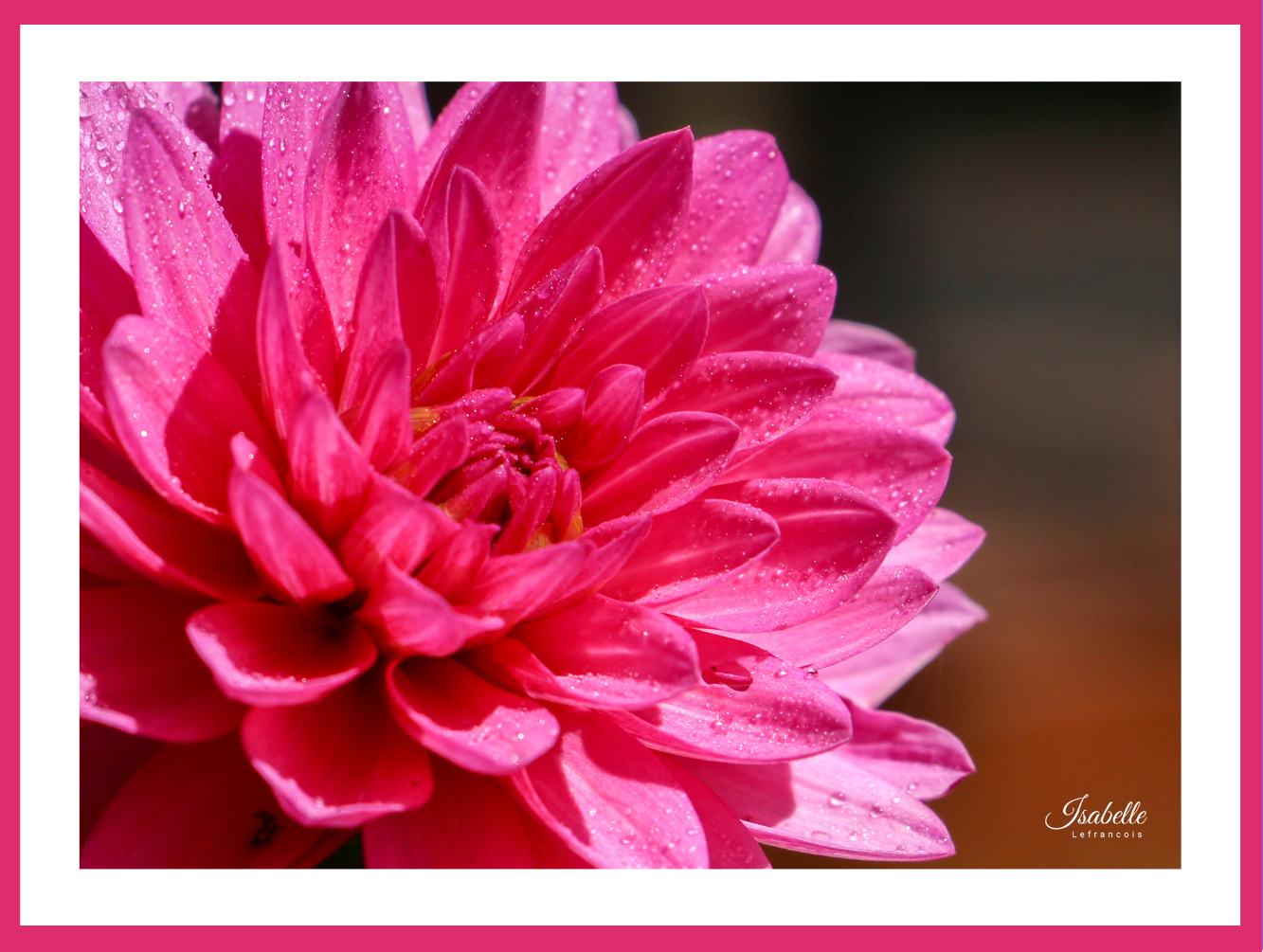 Isabelle Lefrançois Photographe