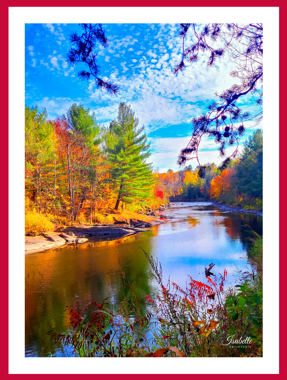 Isabelle Lefrançois Photographe