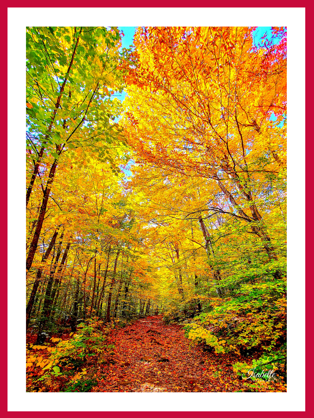 Isabelle Lefrançois Photographe